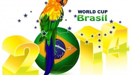 2014 World Cup