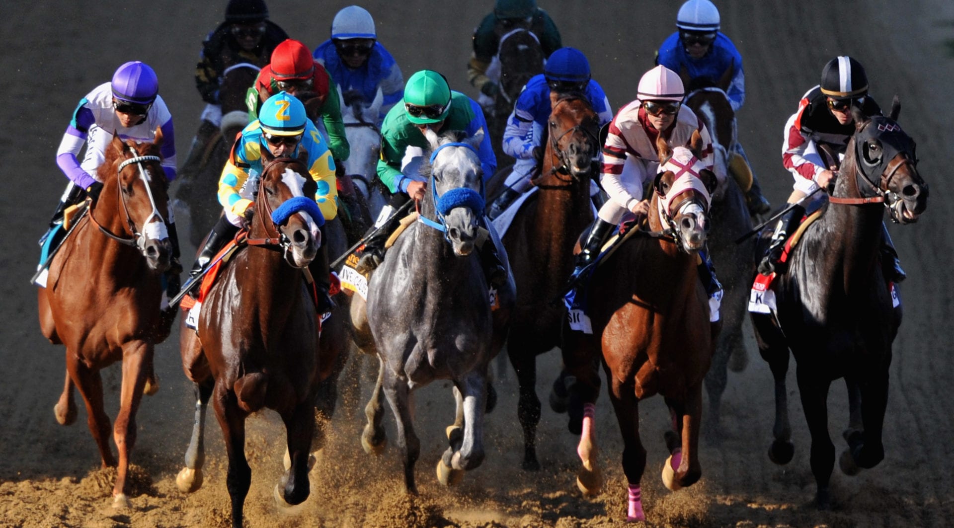 2024 Belmont Stakes Travel Packages - Roadtrips