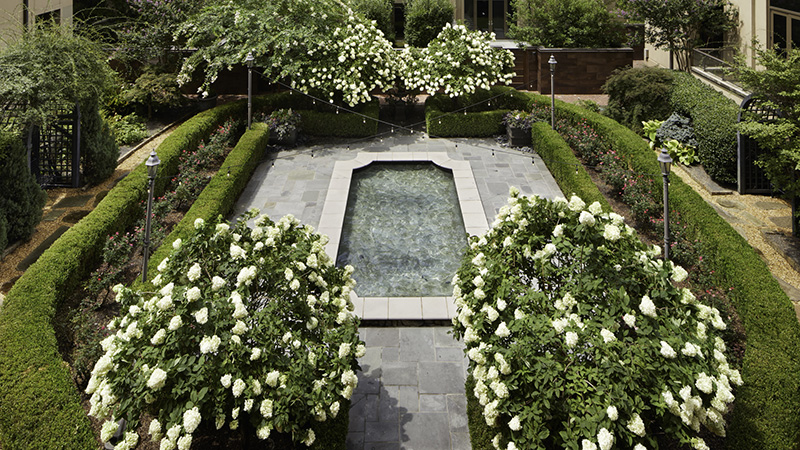 View of Waldorf Astoria Atlanta's geometric garden pool surrounded by lush hydrangeas, perfect for World Cup hotel and travel packages in Georgia.