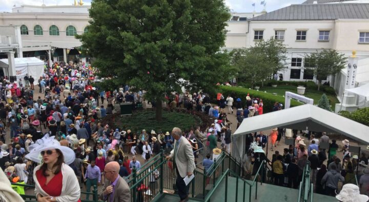 Crowd of attendees at the Kentucky Derby, many wearing hats, gathered outdoors around a central tree, with historical buildings in the background.