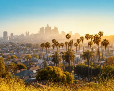 Sunrise lights up the downtown skyline of Los Angeles, viewed over residential areas and scattered palm trees, highlighting the city's role as a host for World Cup venues.