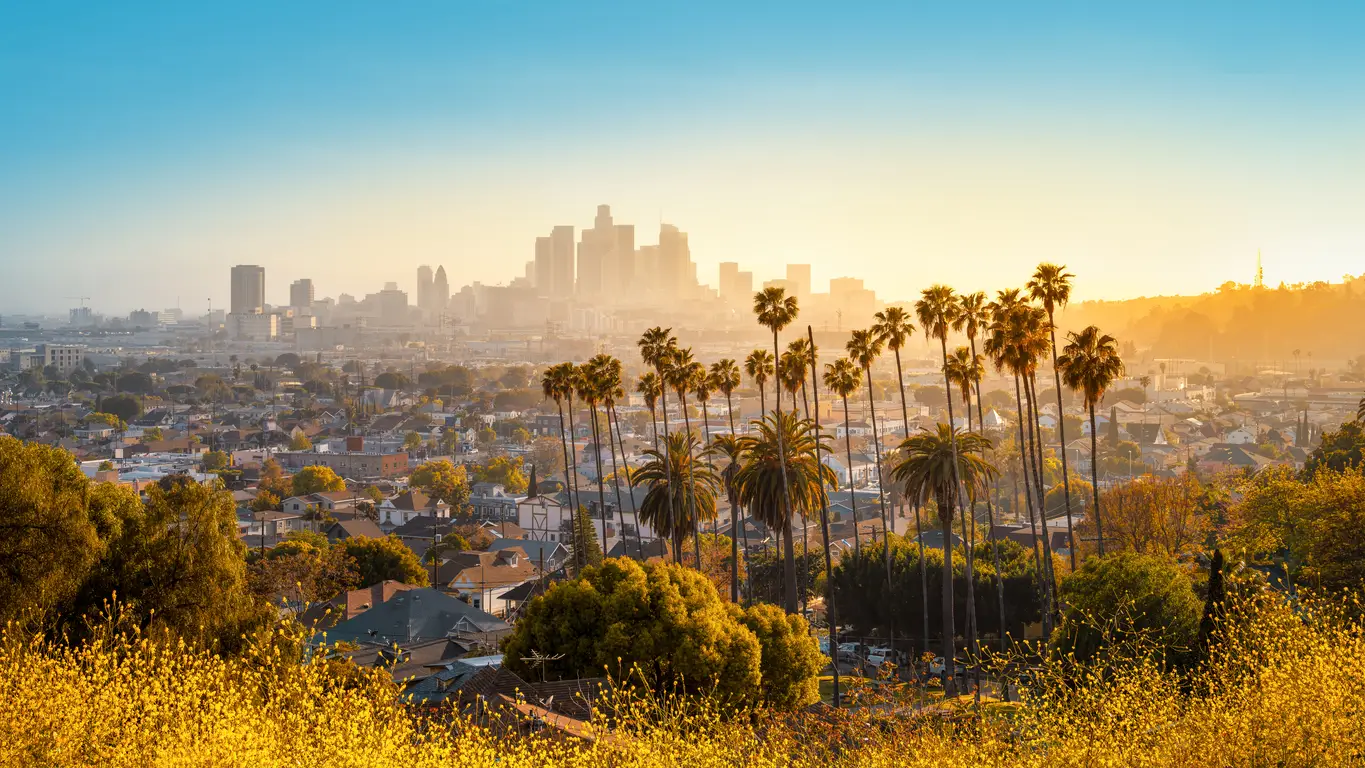 Sunrise lights up the downtown skyline of Los Angeles, viewed over residential areas and scattered palm trees, highlighting the city's role as a host for World Cup venues.