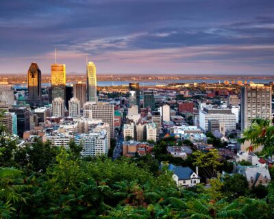 Elevated view of Montreal's skyline at dusk, showcasing its dense urban landscape amid green foliage.
