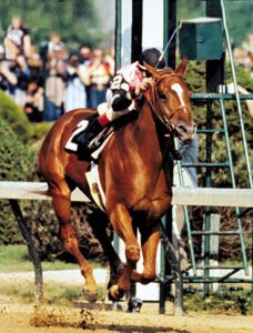 Kentucky Derby Horse Affirmed