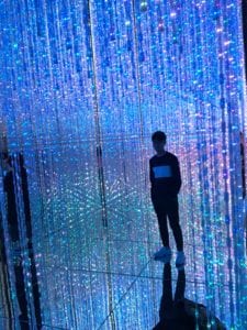Odiaba-teamLab's Borderless exhibition