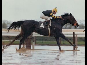 Kentucky Derby Horse Seattle Slew