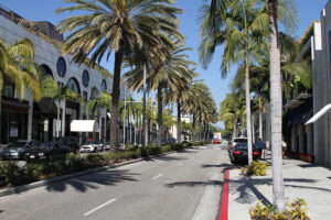 The palm tree lined street of Rodeo Drive Beverly Hills