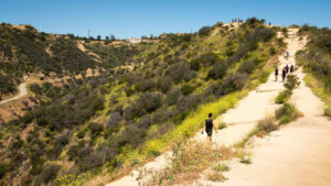 Runners and walkers along the trails of Los Angeles